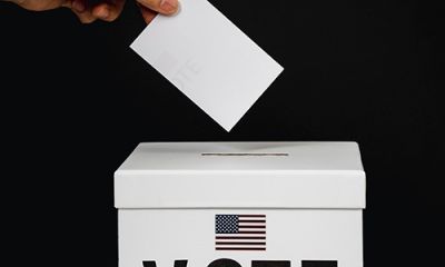 Voting and Elections