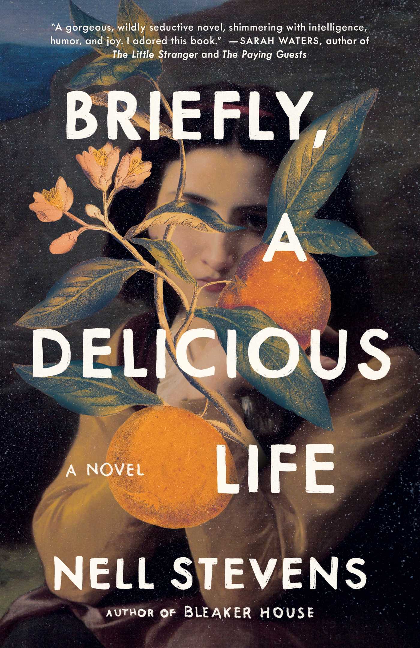Briefly, a Delicious Life by Nell Stevens